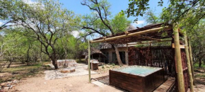 Olifant Bush House